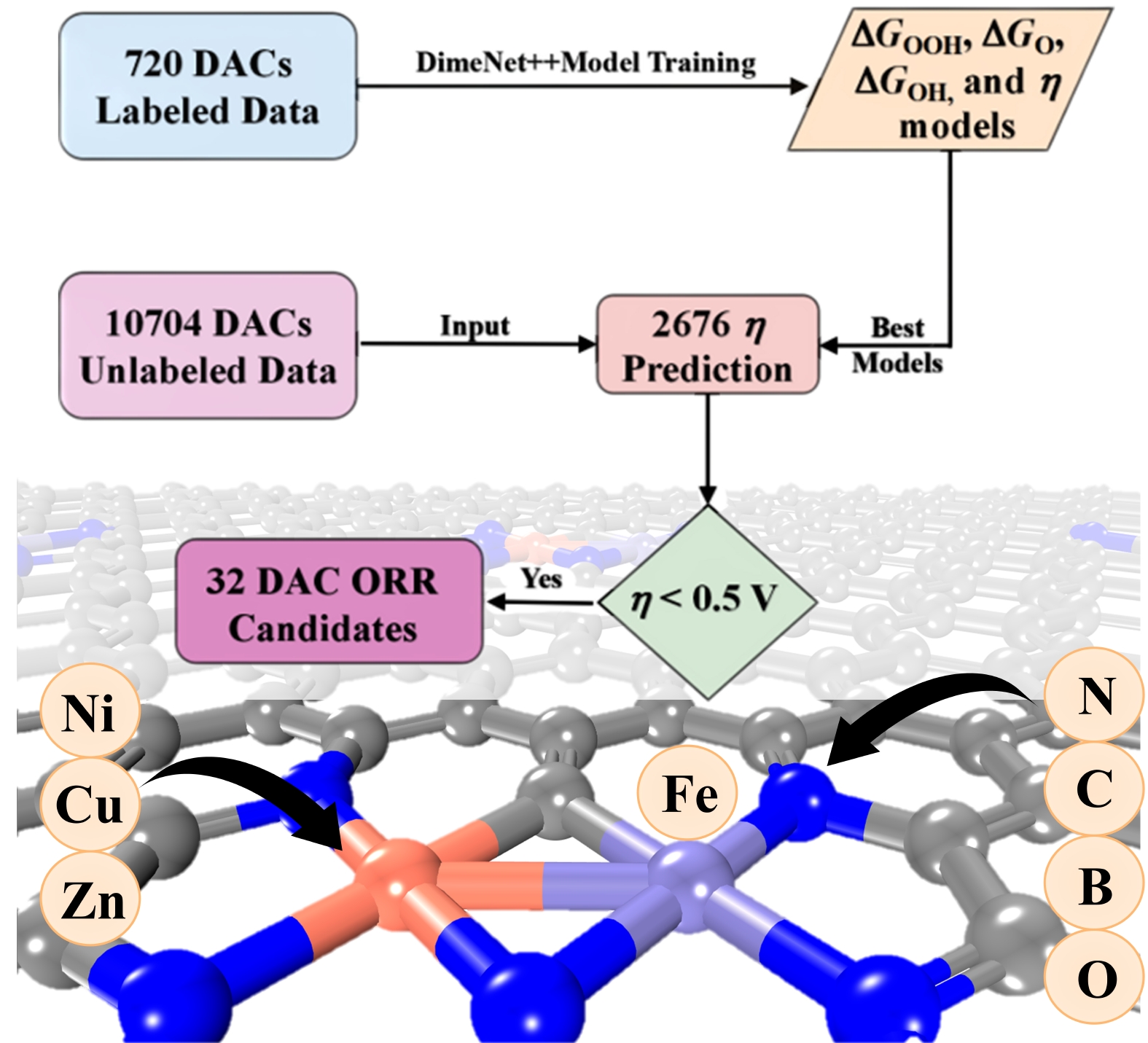 Oxygen Reduction Reaction Activity of Fe-based Dual-Atom