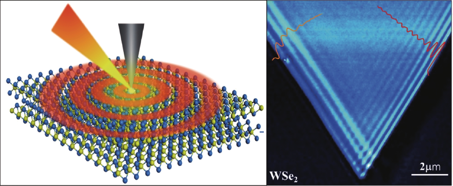 キム② Hisakiloveページ No Reserve – 1991 Kawasaki ZX-7R – Iconic