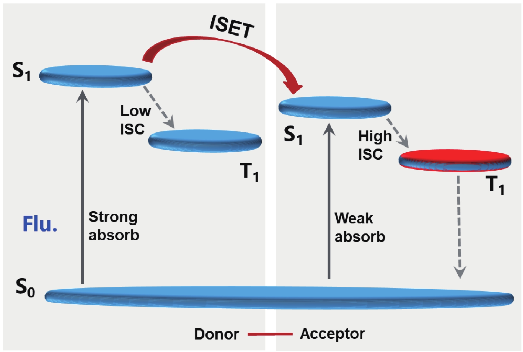 はるき。 Mechanistic Insights into Intramolecular Energy Transfer